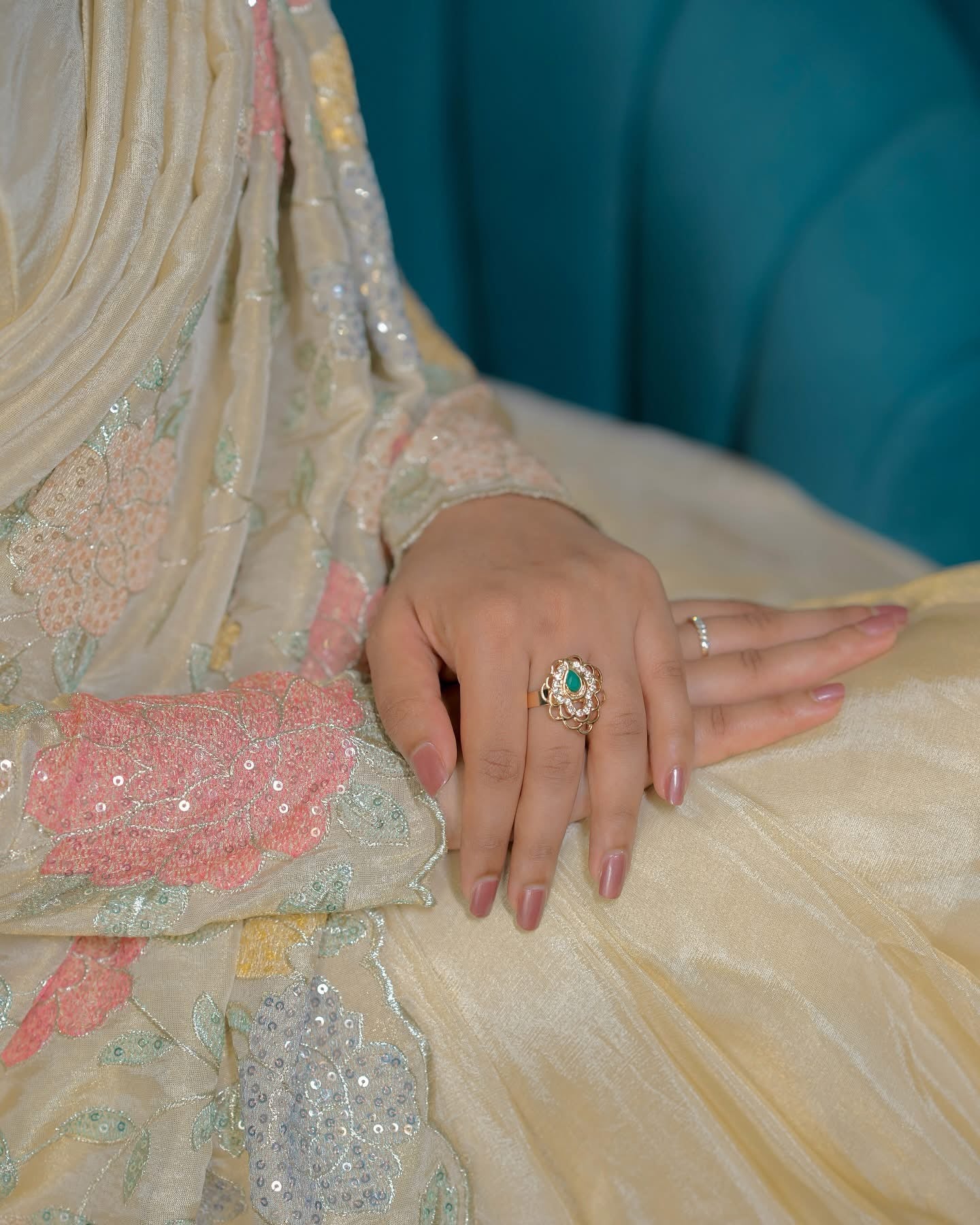 Tissue organza saree