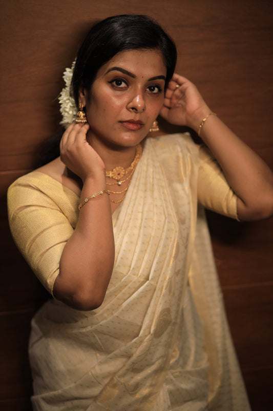 Tissue Saree with Gold Woven Butta