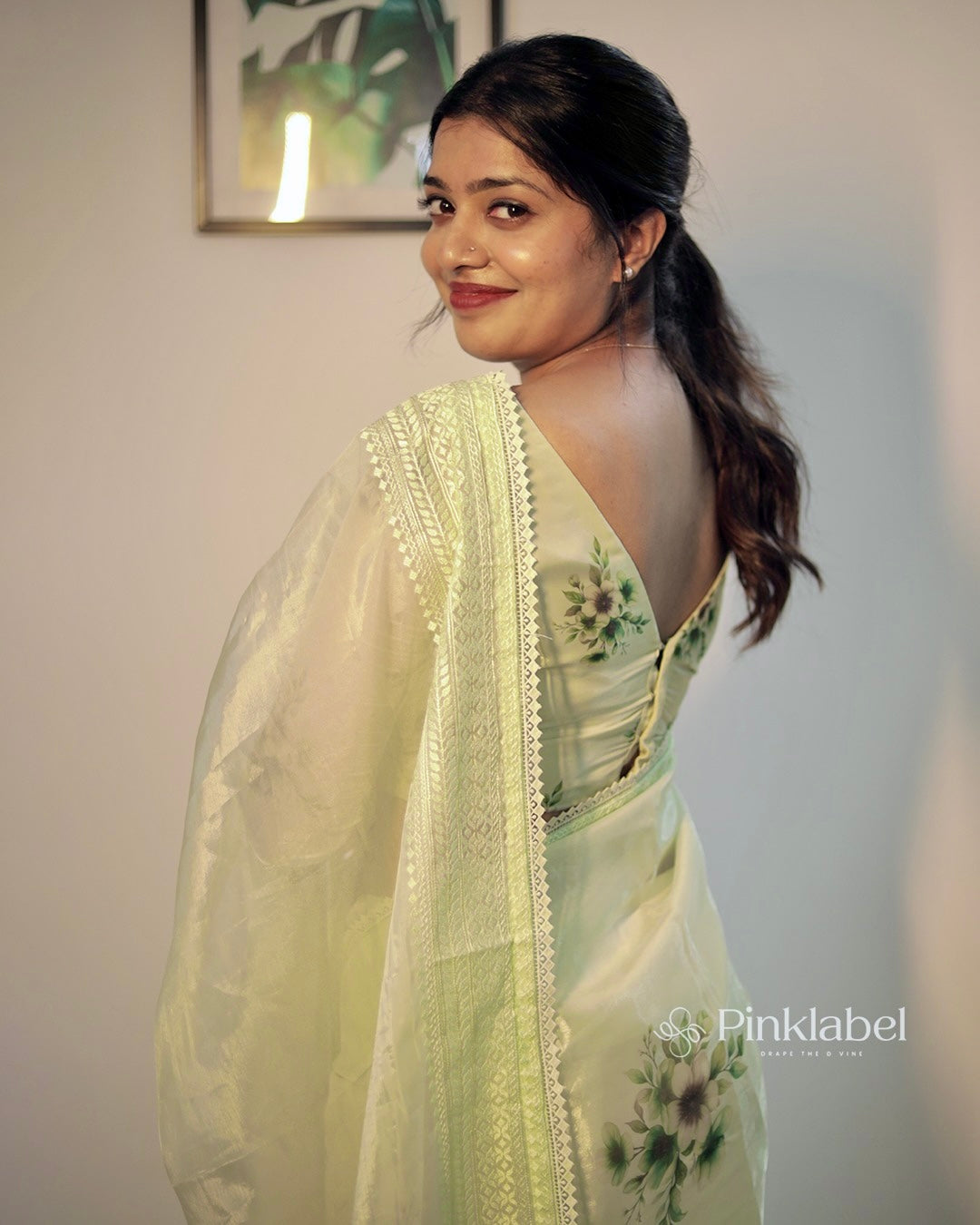 Soft Shimmer Organza Saree Classic