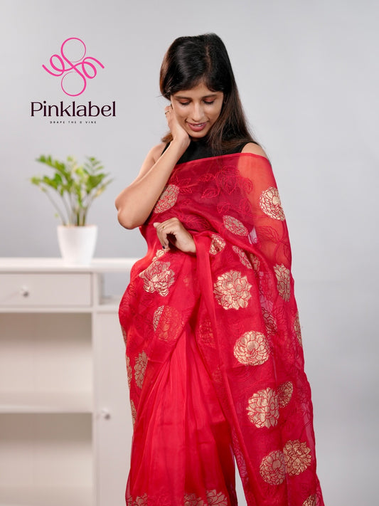 Red Organza Saree adorned with delicate Applique work
