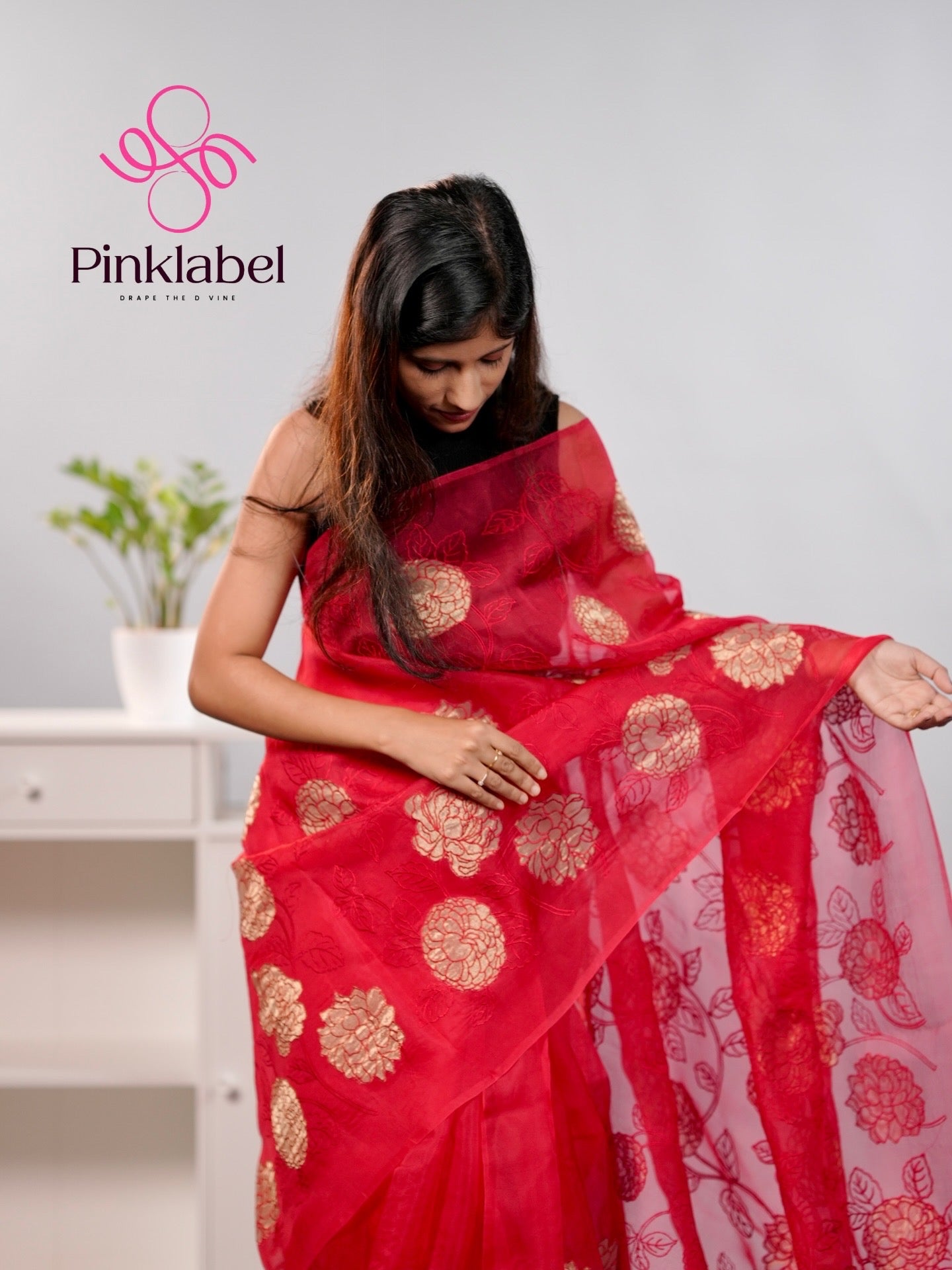 Red Organza Saree adorned with delicate Applique work