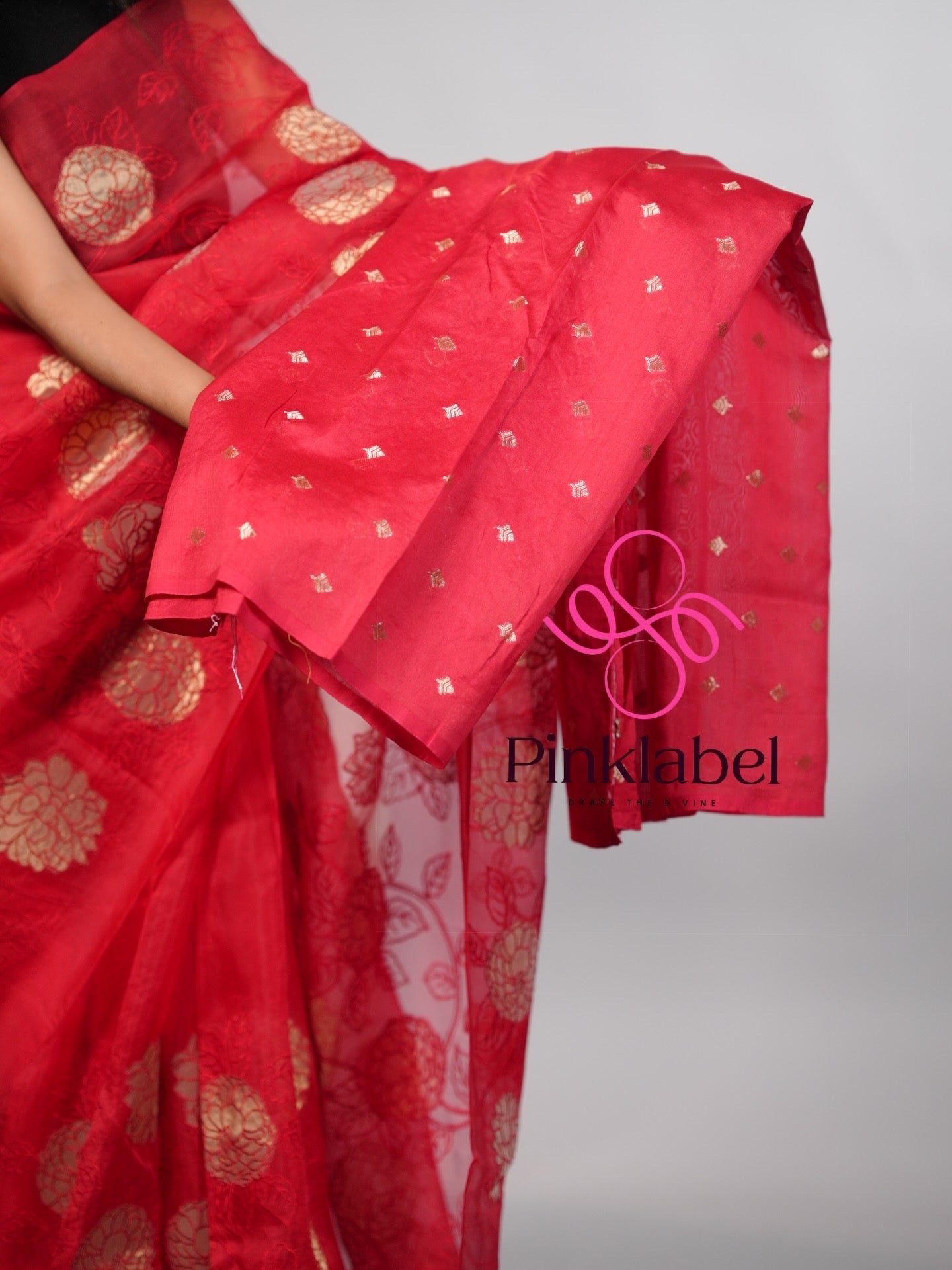 Red Organza Saree adorned with delicate Applique work