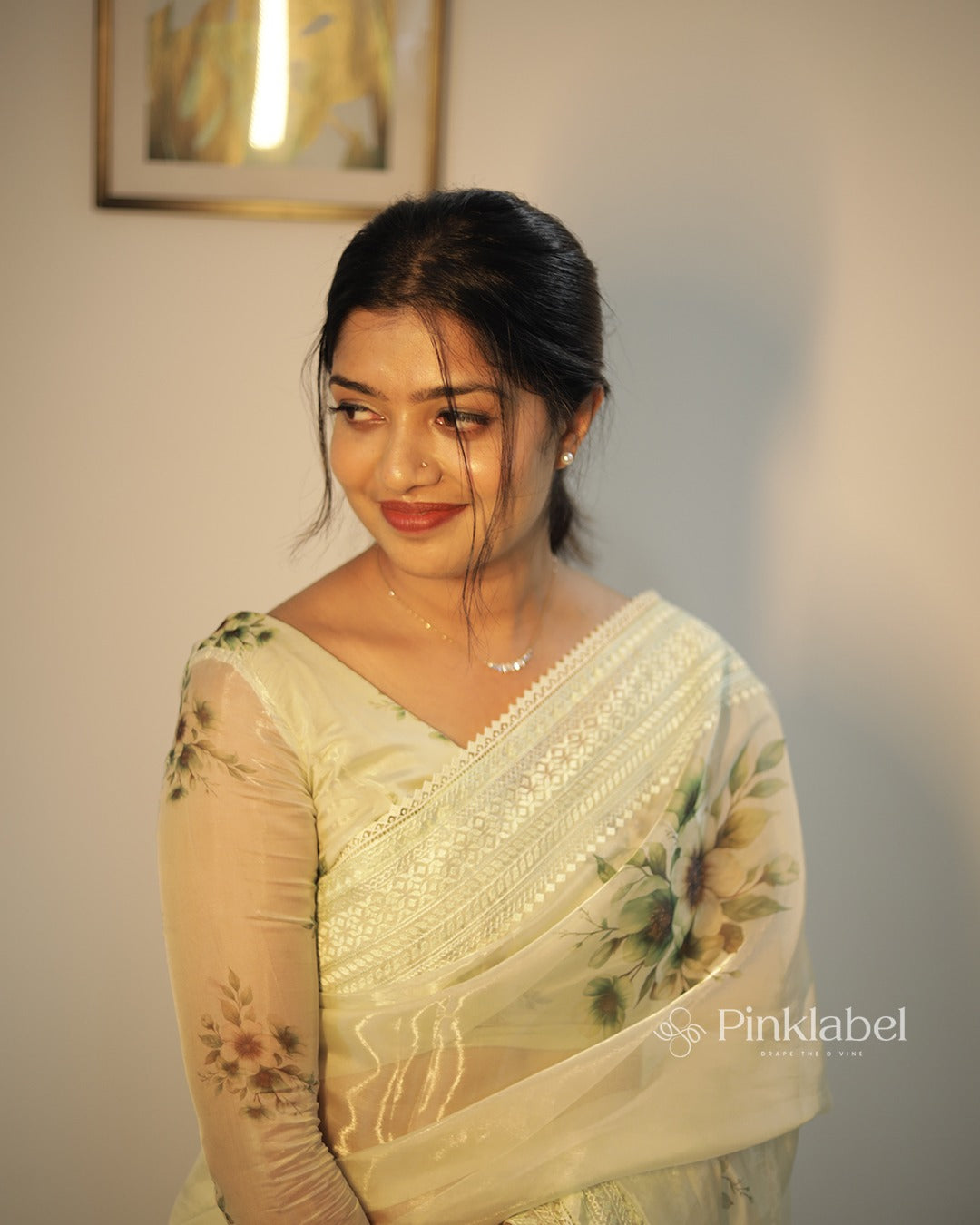 Soft Shimmer Organza Saree Classic