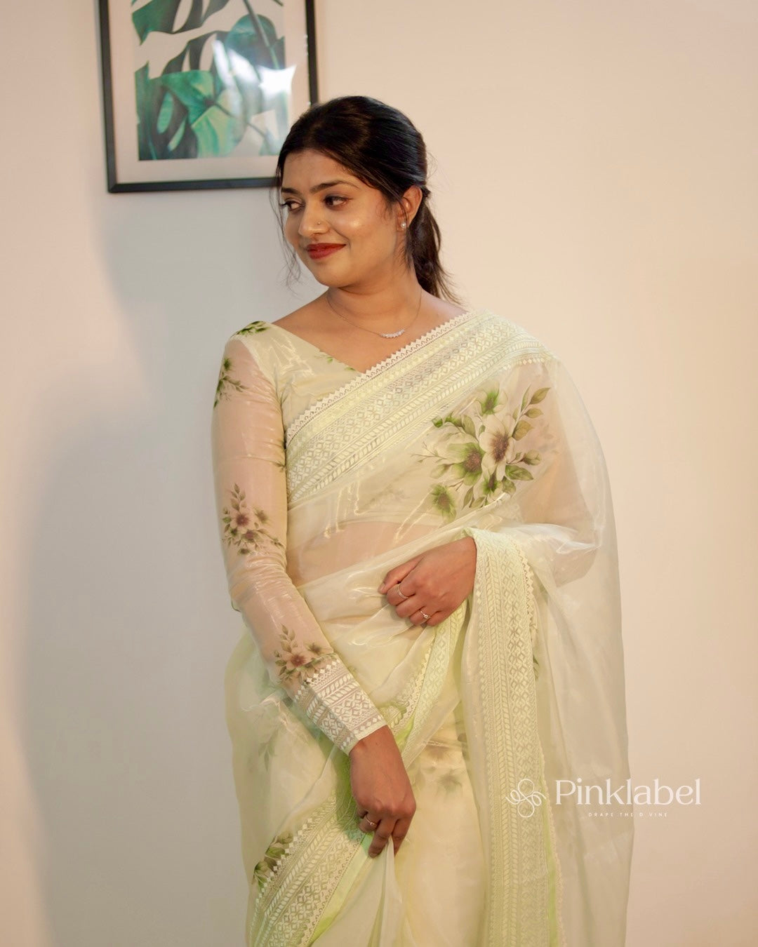 Soft Shimmer Organza Saree Classic